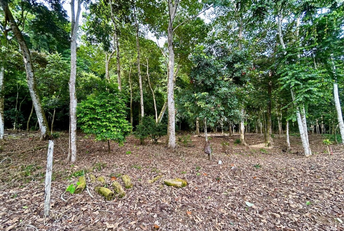 BUILDING PROPERTY WITH FRONT PUBLIC ROAD VIEWS, IN CHONTALES – 0.29 ACRES