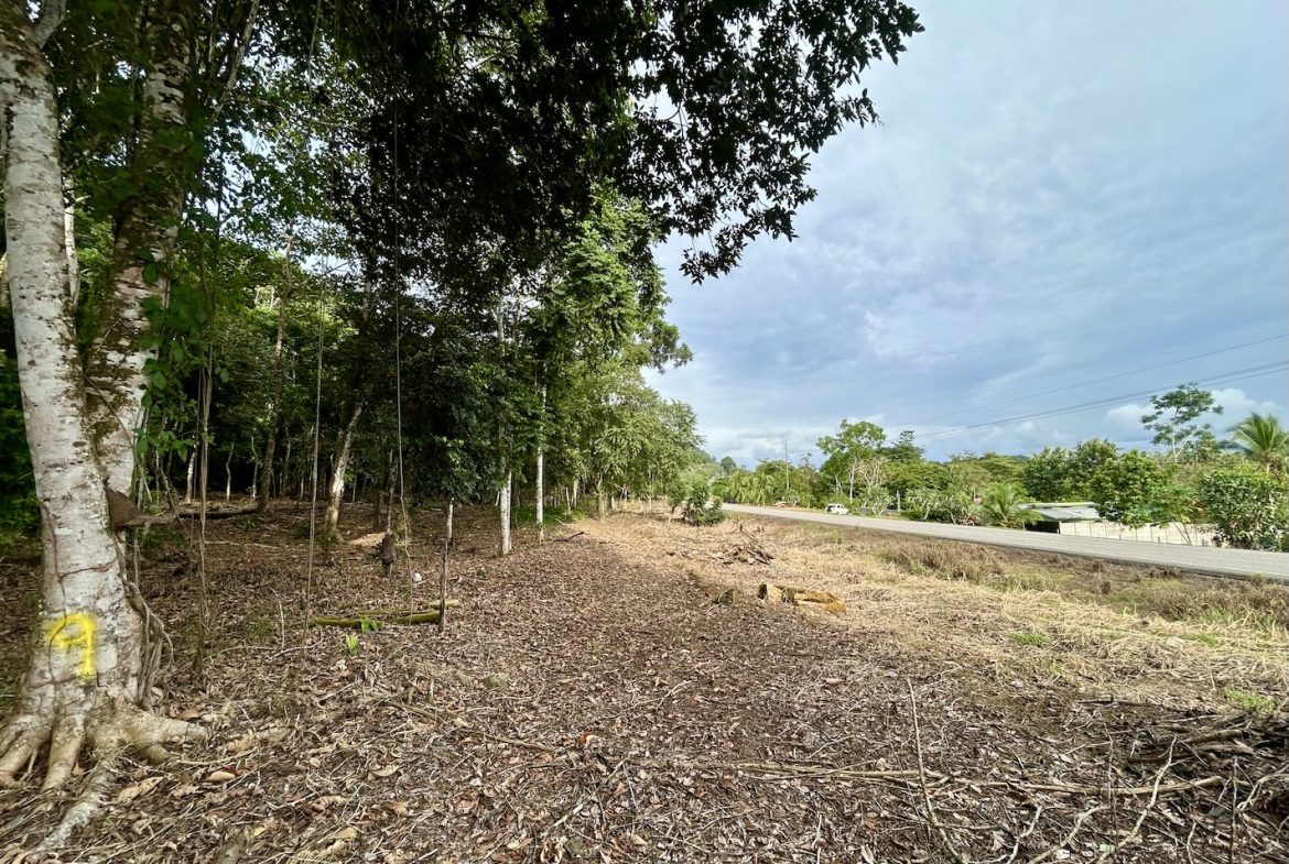 BUILDING PROPERTY WITH FRONT PUBLIC ROAD VIEWS, IN CHONTALES – 0.29 ACRES
