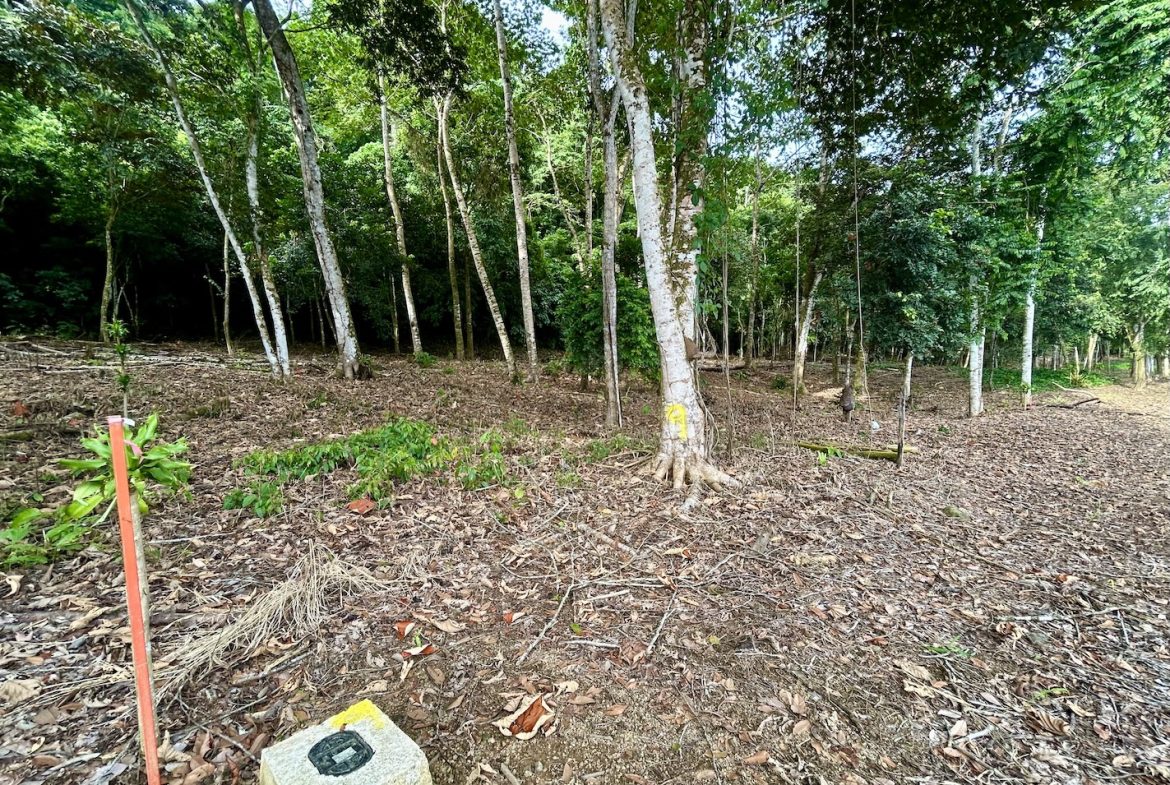 BUILDING PROPERTY WITH FRONT PUBLIC ROAD VIEWS, IN CHONTALES – 0.29 ACRES