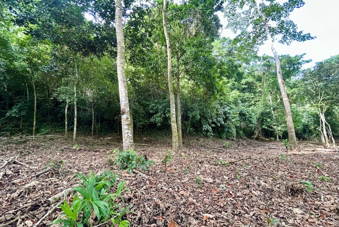BUILDING PROPERTY WITH FRONT PUBLIC ROAD VIEWS, IN CHONTALES – 0.29 ACRES