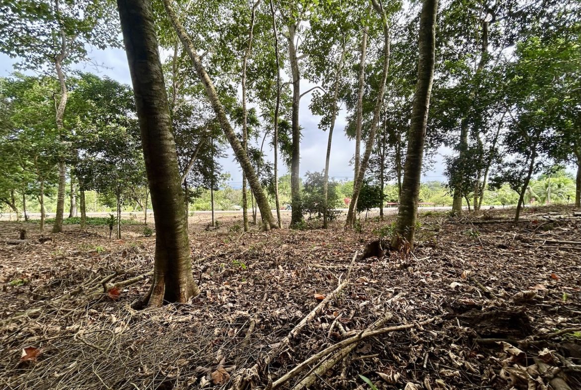 BUILDING PROPERTY WITH FRONT PUBLIC ROAD VIEWS, IN CHONTALES – 0.29 ACRES
