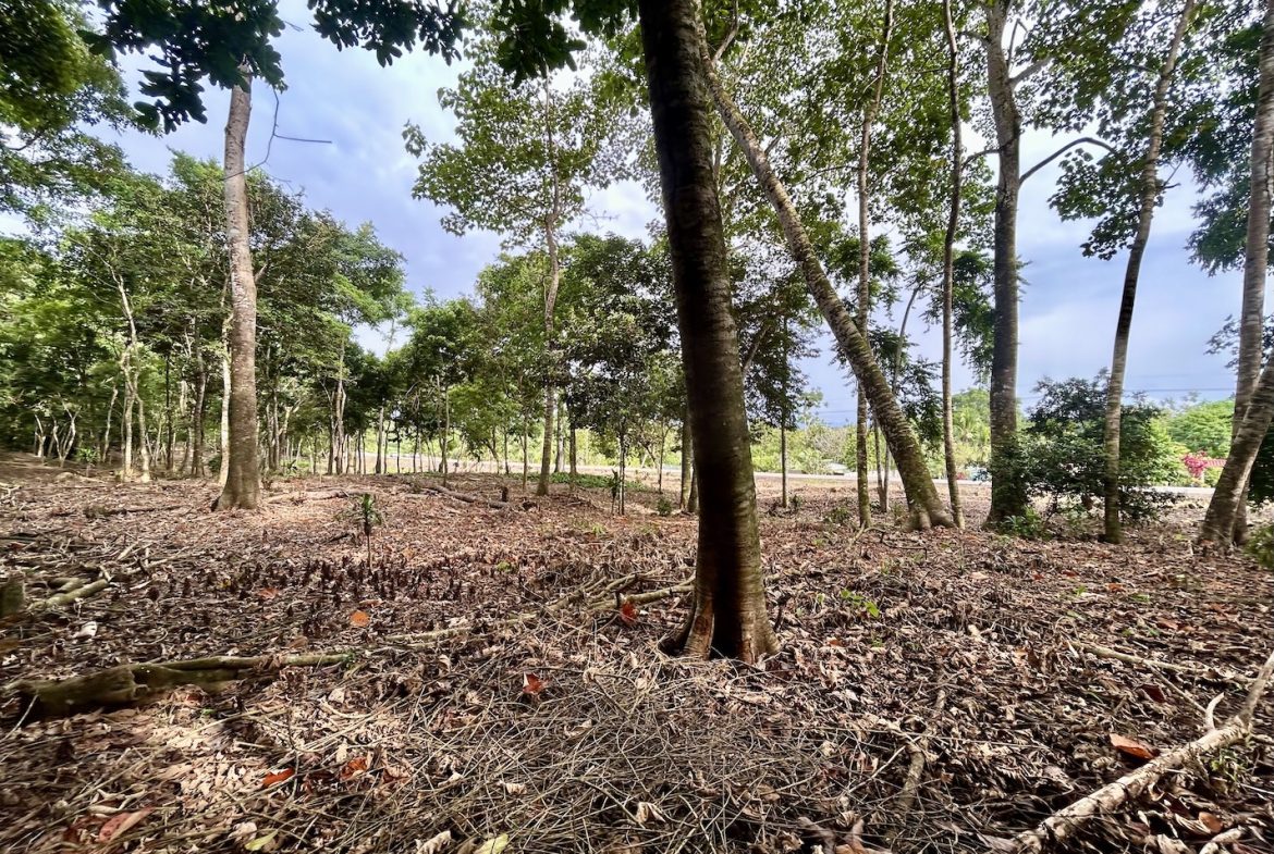 BUILDING PROPERTY WITH FRONT PUBLIC ROAD VIEWS, IN CHONTALES – 0.29 ACRES
