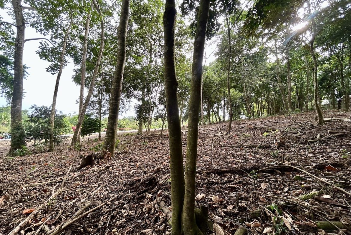 BUILDING PROPERTY WITH FRONT PUBLIC ROAD VIEWS, IN CHONTALES – 0.29 ACRES