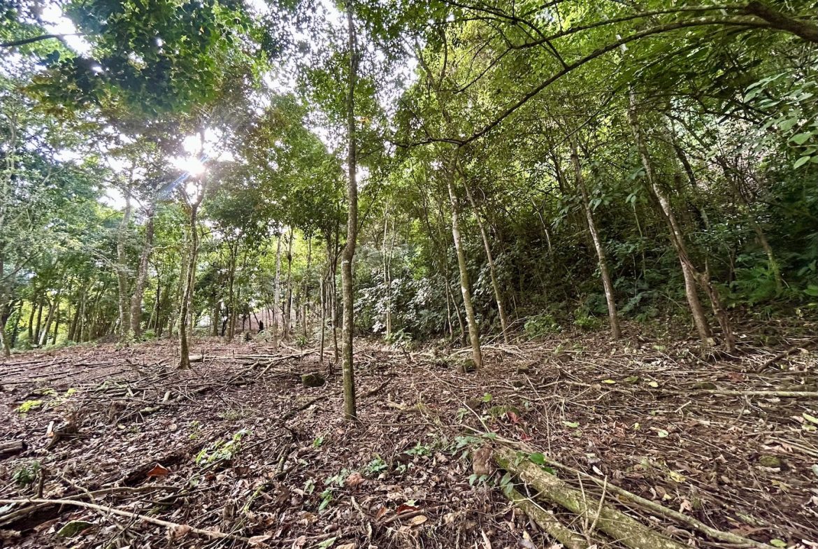 BUILDING PROPERTY WITH FRONT PUBLIC ROAD VIEWS, IN CHONTALES – 0.29 ACRES