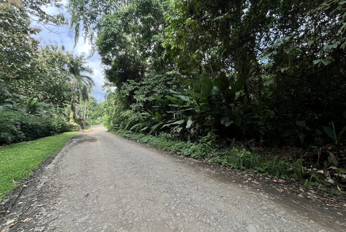 BUILDING PROPERTY WITH PUBLIC ROAD IN ROAD VIEWS, IN LA COLONIA – 14.2 ACRES