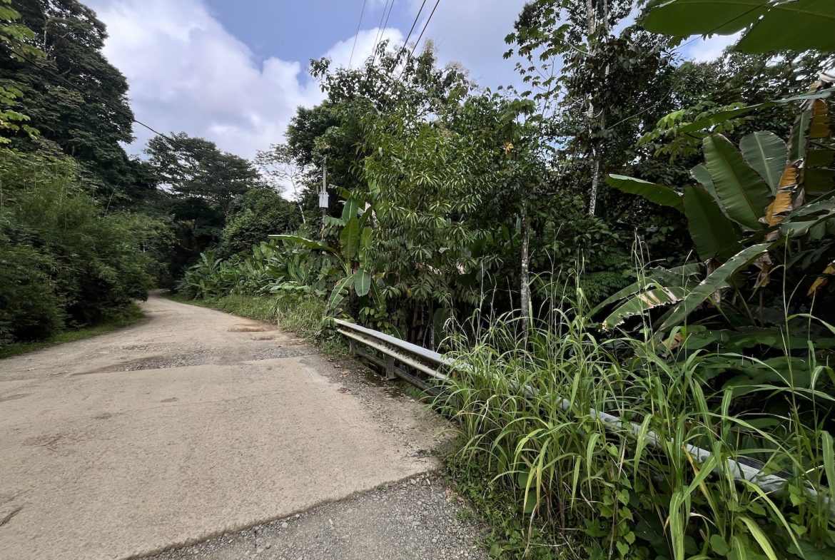 BUILDING PROPERTY WITH PUBLIC ROAD IN ROAD VIEWS, IN LA COLONIA – 14.2 ACRES