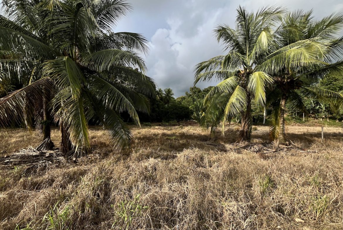 BUILDING PROPERTY WITH PUBLIC ROAD IN ROAD VIEWS, IN LA COLONIA – 14.2 ACRES