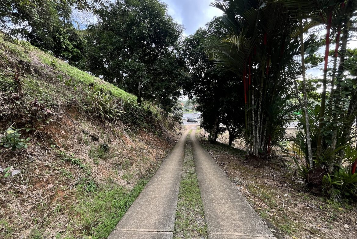 BUILDING PROPERTY WITH PUBLIC ROAD IN ROAD VIEWS, IN LA COLONIA – 14.2 ACRES