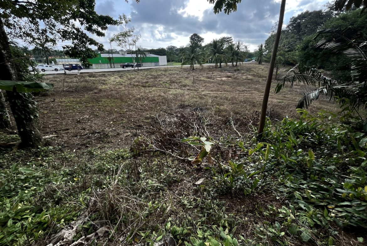 BUILDING PROPERTY WITH PUBLIC ROAD IN ROAD VIEWS, IN LA COLONIA – 14.2 ACRES