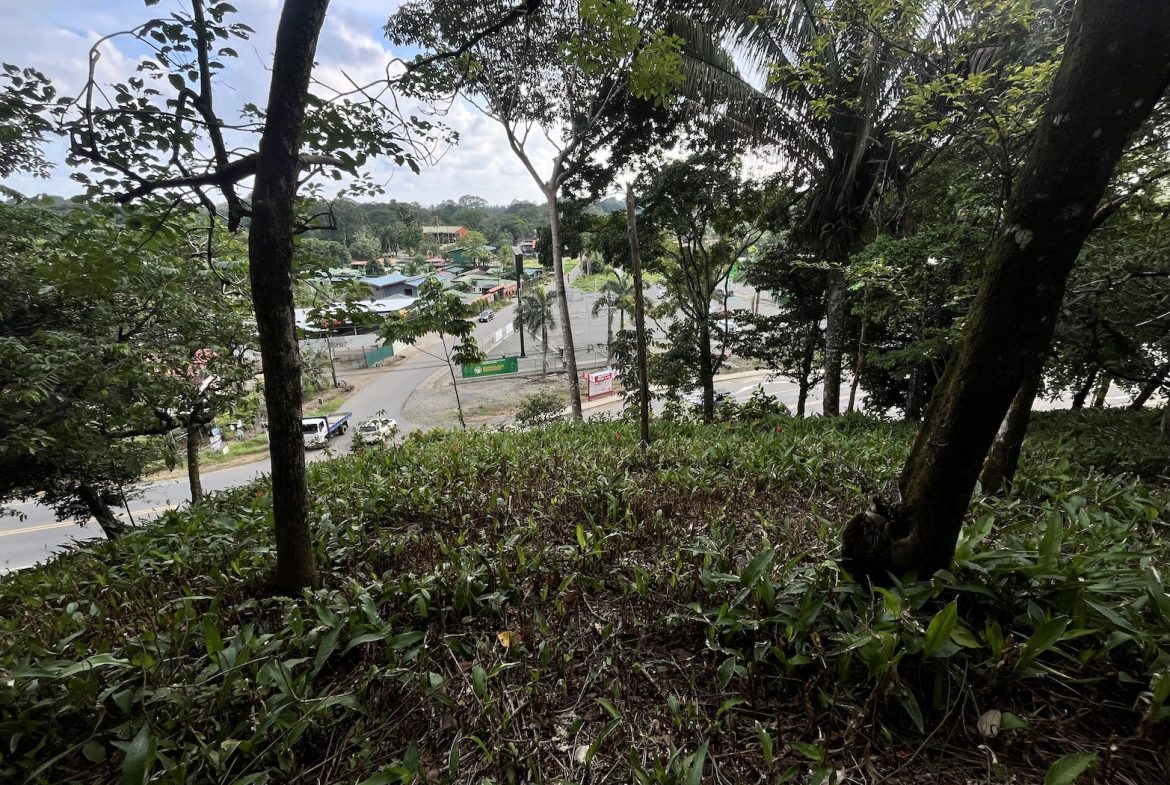 BUILDING PROPERTY WITH PUBLIC ROAD IN ROAD VIEWS, IN LA COLONIA – 14.2 ACRES