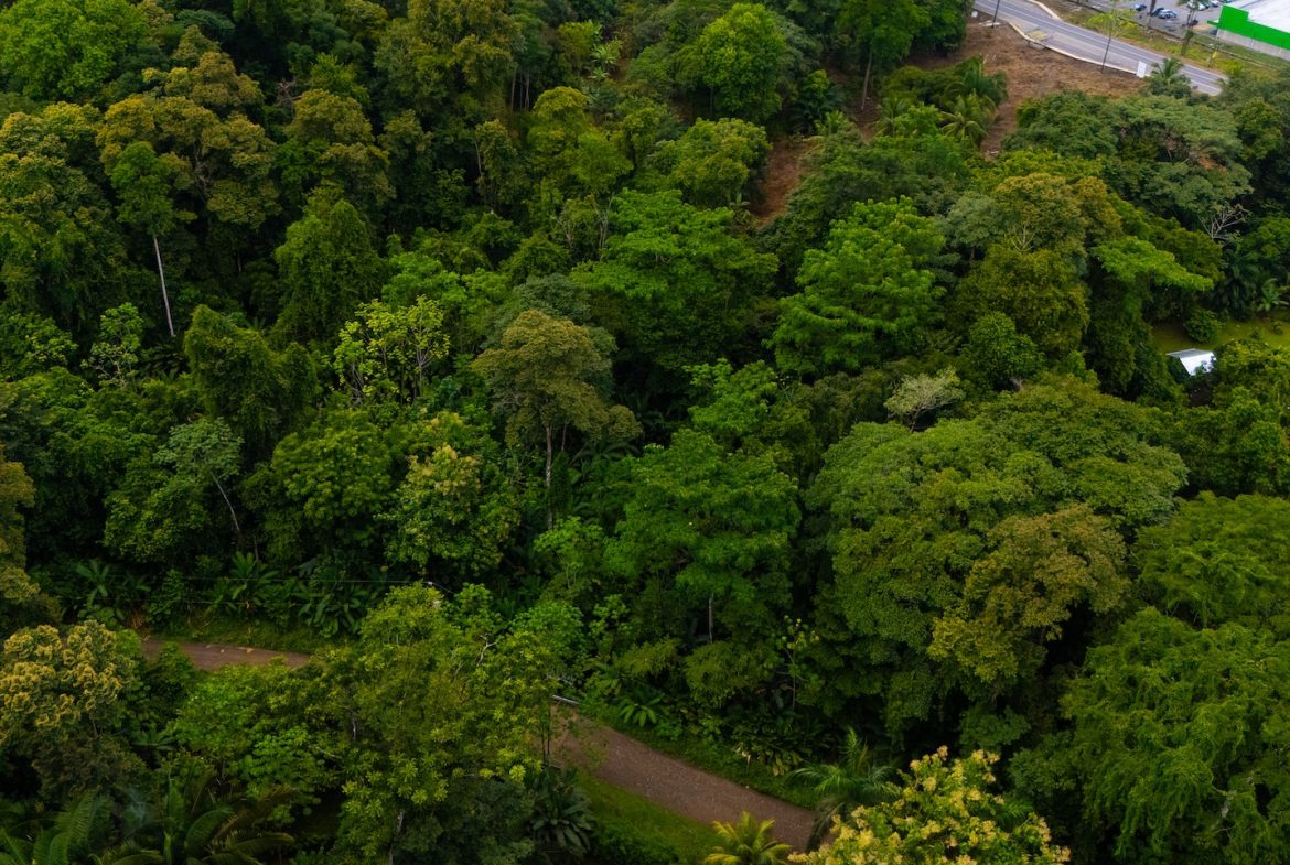 BUILDING PROPERTY WITH PUBLIC ROAD IN ROAD VIEWS, IN LA COLONIA – 14.2 ACRES