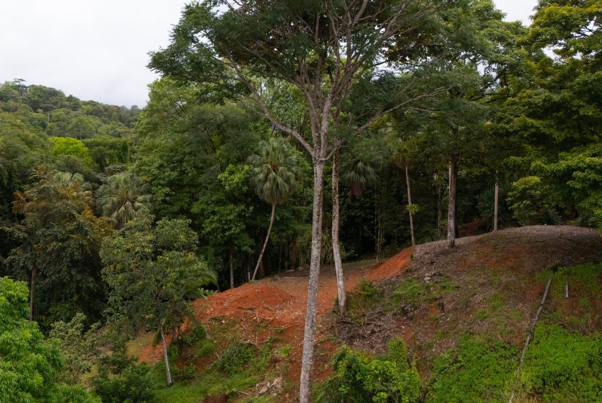BUILDING PROPERTY WITH PUBLIC ROAD IN ROAD VIEWS, IN LA COLONIA – 14.2 ACRES