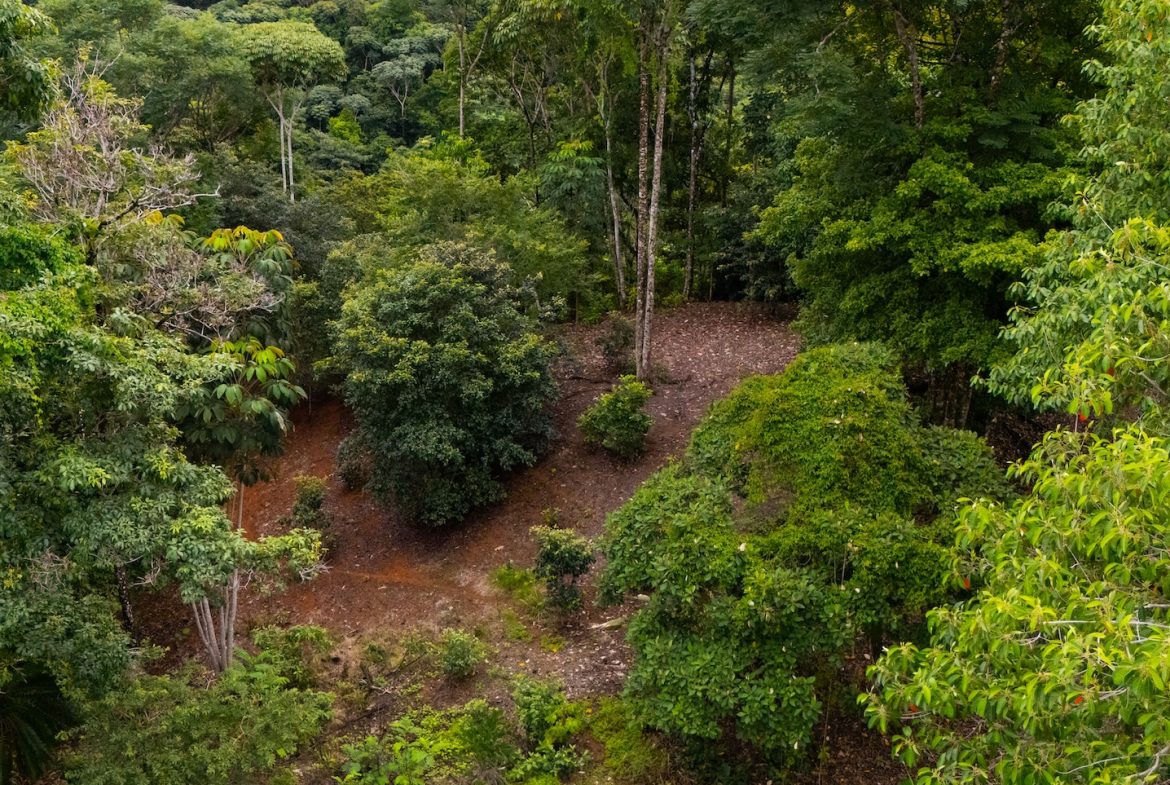 BUILDING PROPERTY WITH PUBLIC ROAD IN ROAD VIEWS, IN LA COLONIA – 14.2 ACRES