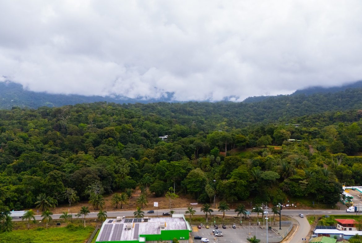 BUILDING PROPERTY WITH PUBLIC ROAD IN ROAD VIEWS, IN LA COLONIA – 14.2 ACRES