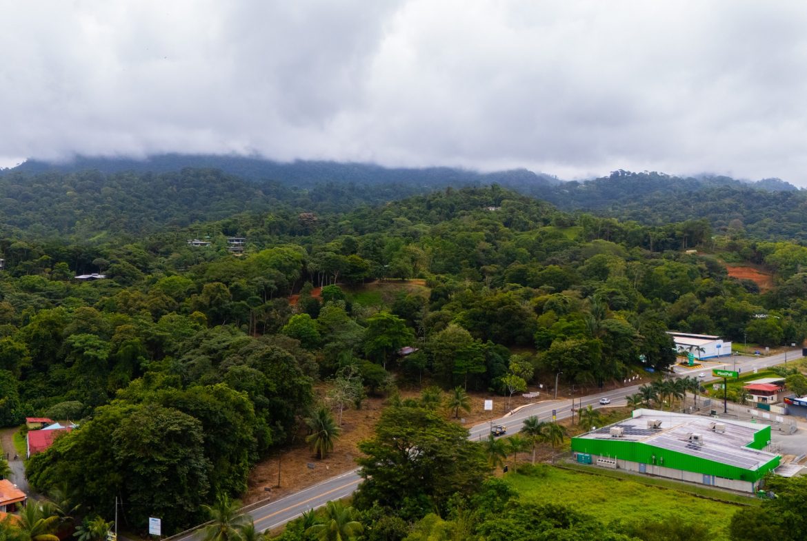 BUILDING PROPERTY WITH PUBLIC ROAD IN ROAD VIEWS, IN LA COLONIA – 14.2 ACRES