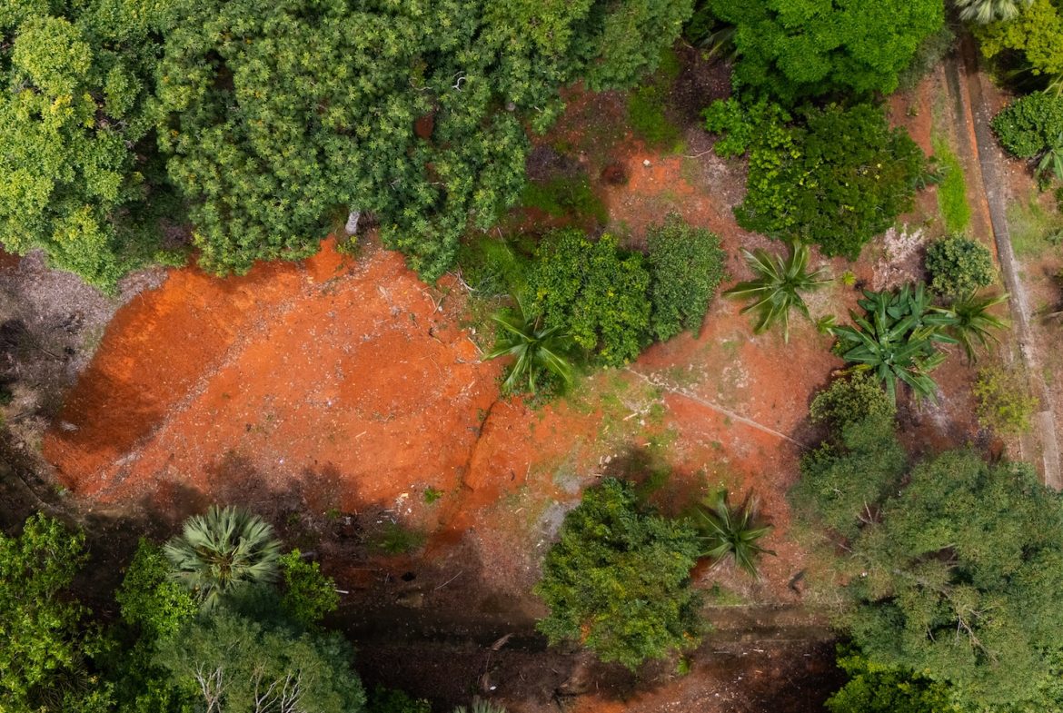 BUILDING PROPERTY WITH PUBLIC ROAD IN ROAD VIEWS, IN LA COLONIA – 14.2 ACRES