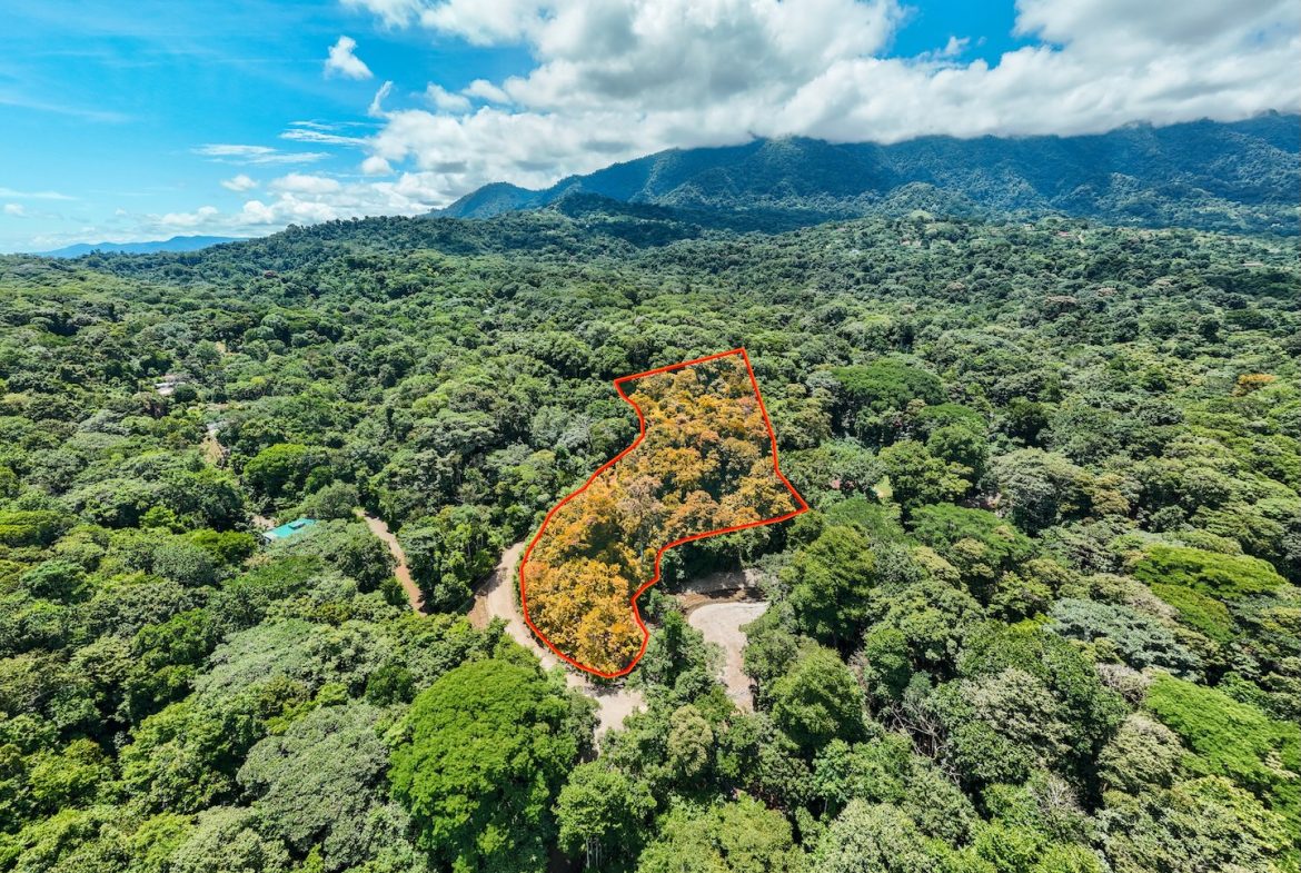 JUNGLE BUILDING PROPERTY NEAR TO THE VENTANAS BEACH, IN VENTANAS OJOCHAL – 3.26 ACRES
