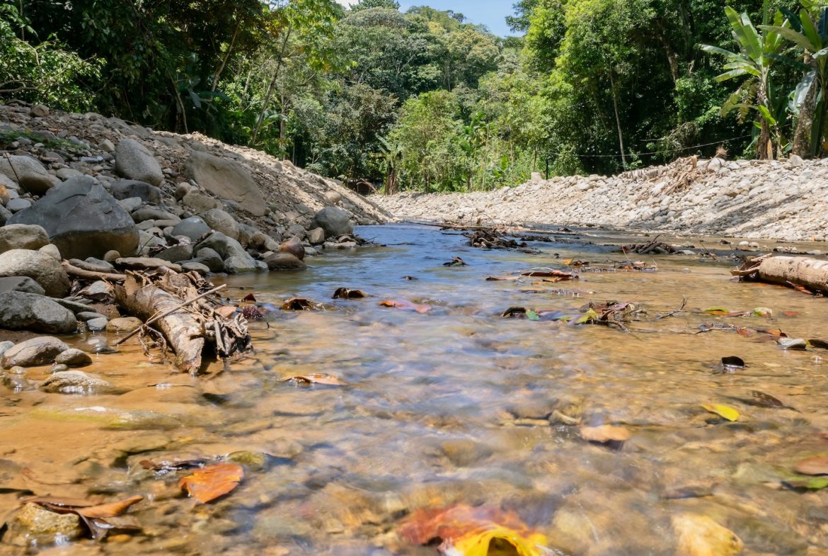 JUNGLE BUILDING PROPERTY NEAR TO THE VENTANAS BEACH, IN VENTANAS OJOCHAL – 3.26 ACRES
