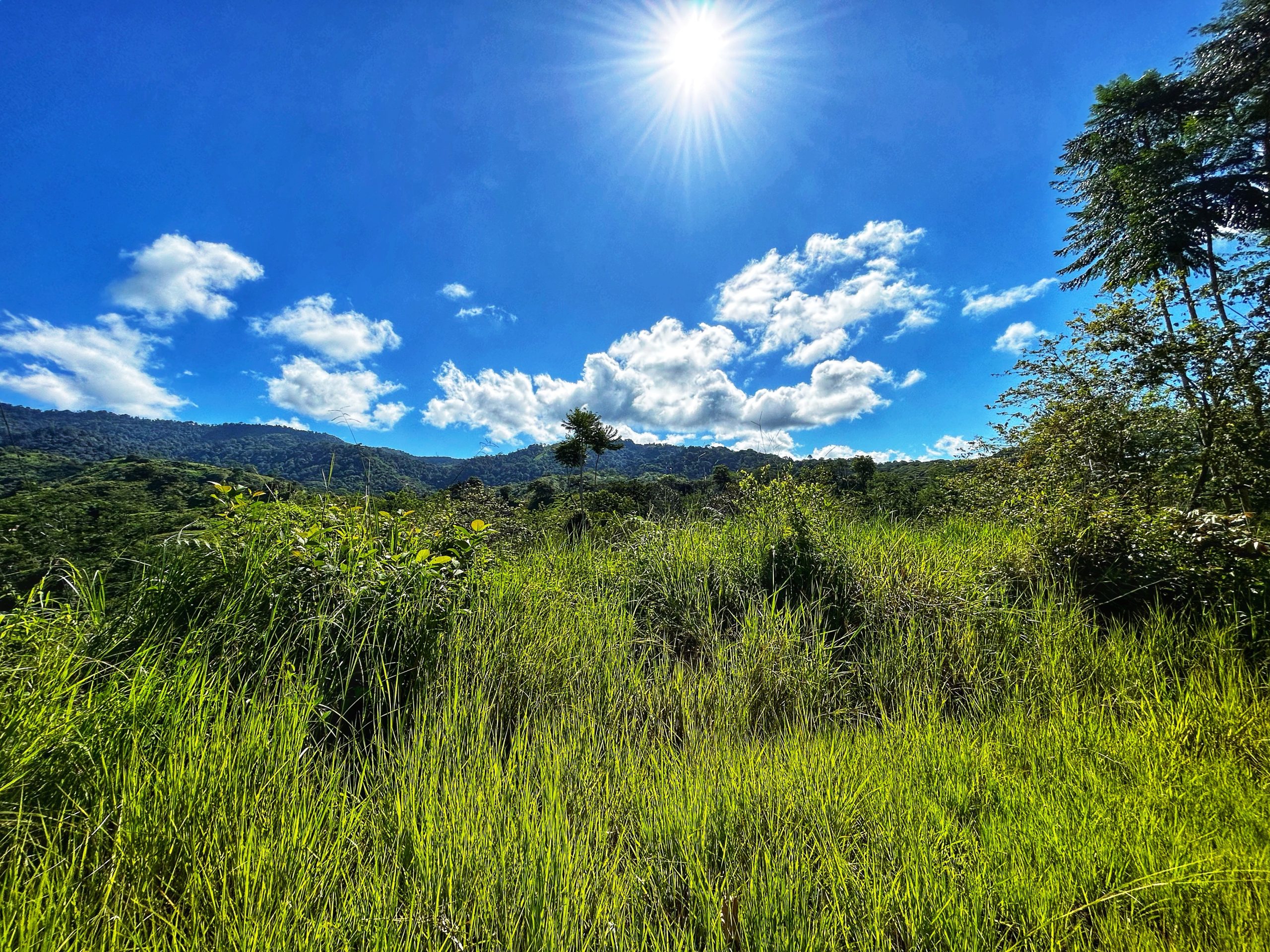 Photo 19-7-23, 10 44 14 AM