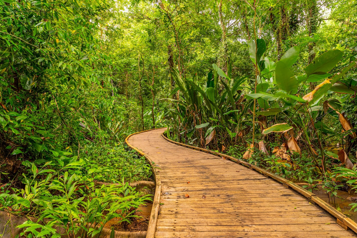 Photo Aug 22 2023, 12 42 13 PM