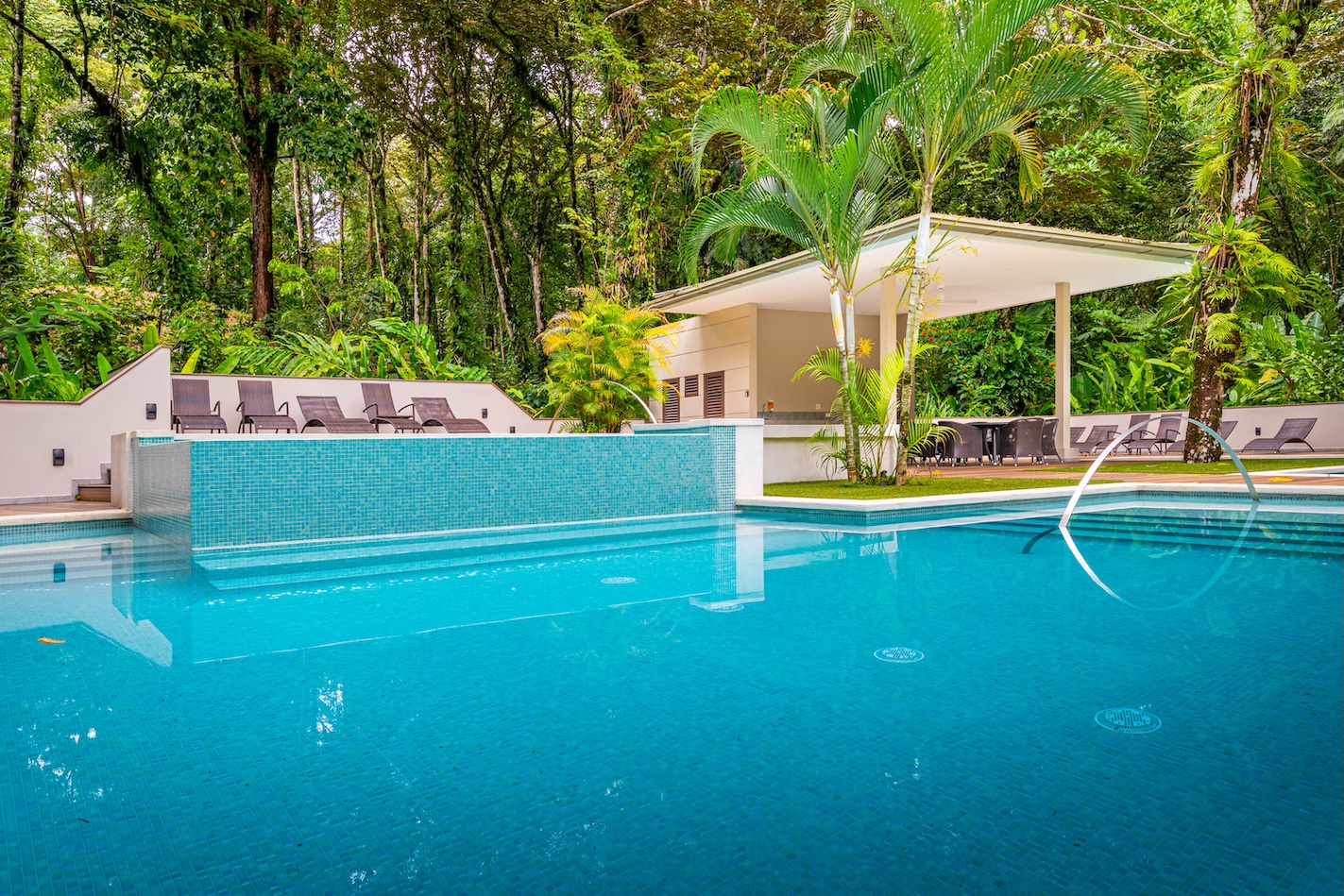 Photo Aug 22 2023, 12 47 54 PM