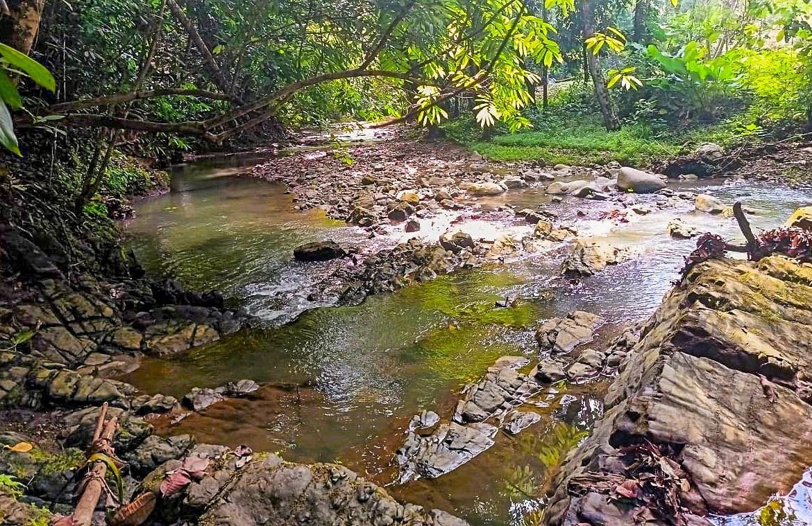JUNGLE PROPERTY WITH 2 BEDROOM AND PANORAMIC VIEWS OF THE MOUNTAINS, IN OJOCHAL – 1.3 ACRES