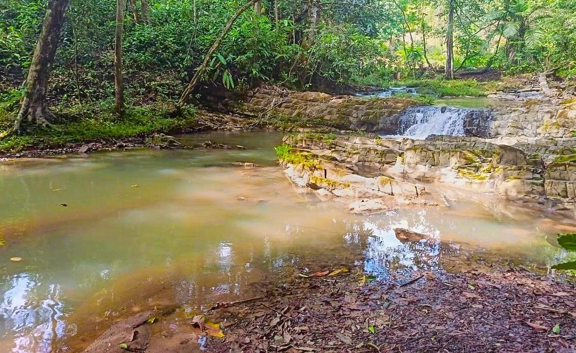 JUNGLE PROPERTY WITH 2 BEDROOM AND PANORAMIC VIEWS OF THE MOUNTAINS, IN OJOCHAL – 1.3 ACRES