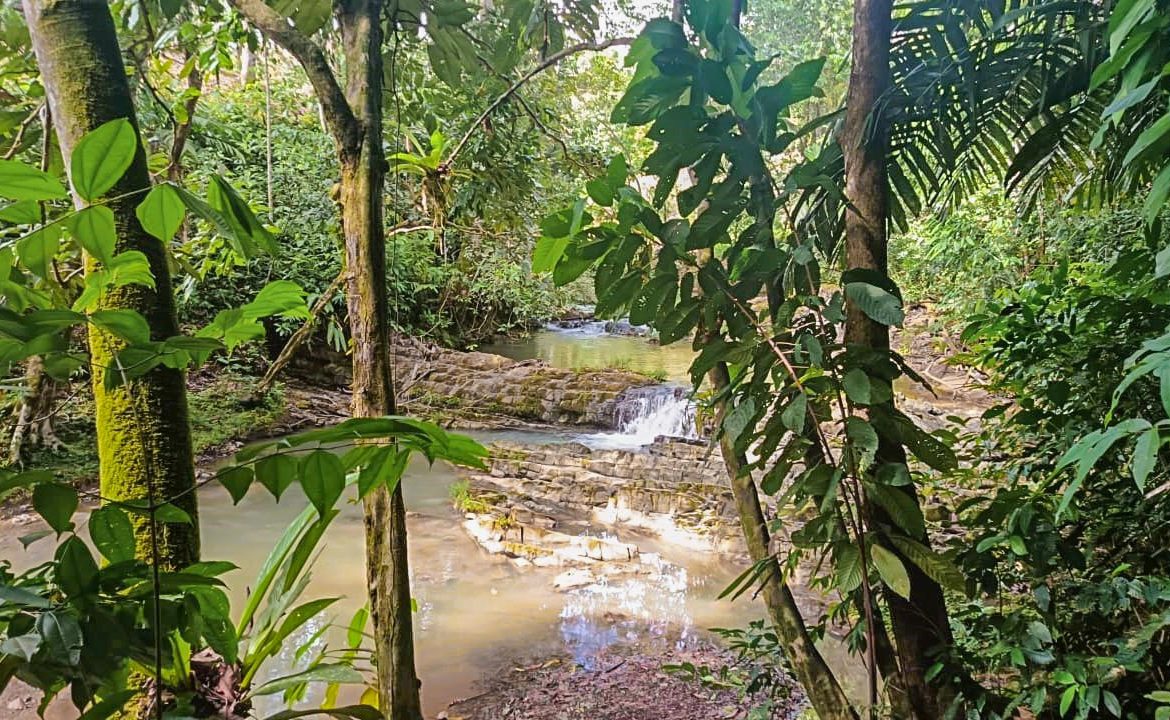 JUNGLE PROPERTY WITH 2 BEDROOM AND PANORAMIC VIEWS OF THE MOUNTAINS, IN OJOCHAL – 1.3 ACRES