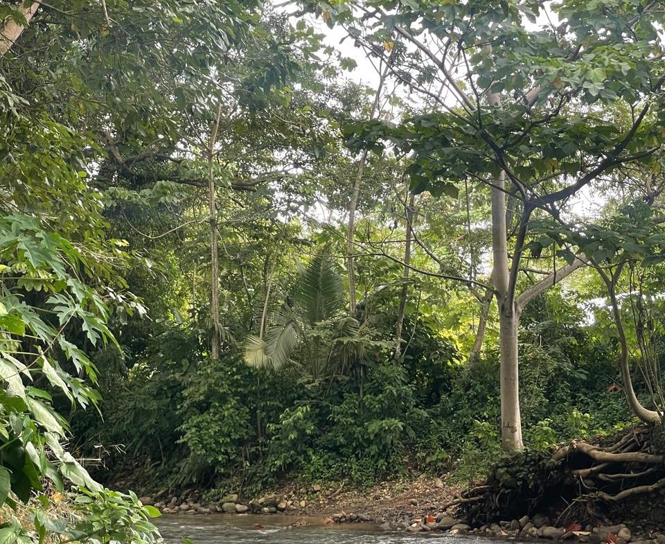 PROPERTY TWO BEDROOM HOME WITH LANDSCAPING VIEWS, IN HATILLO – 0.13 ACRES