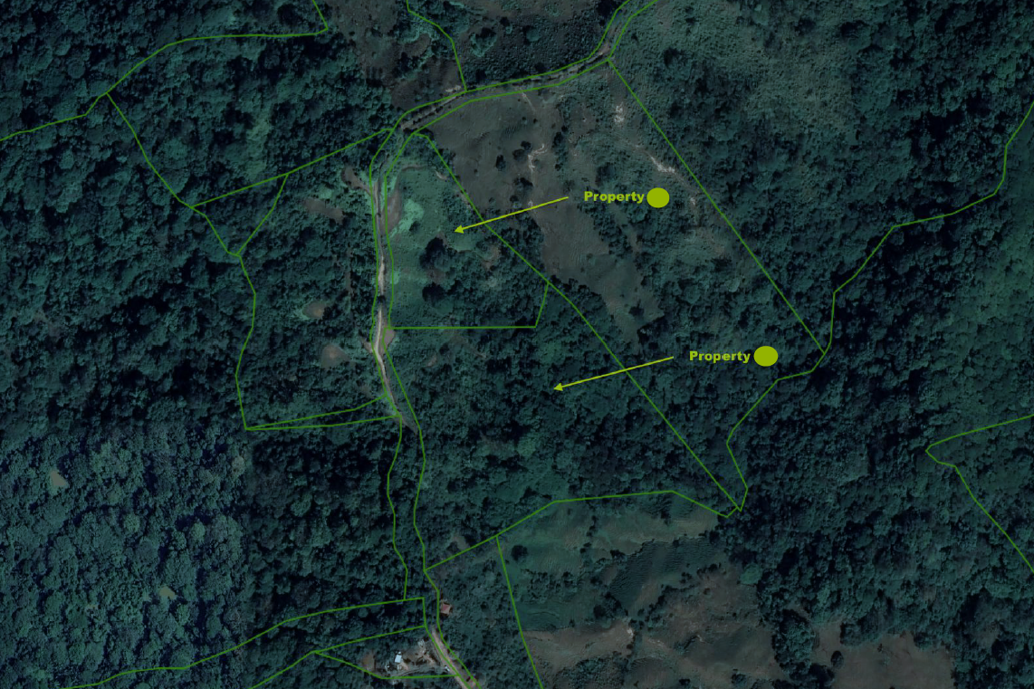 Screenshot 2025-03-10 153446