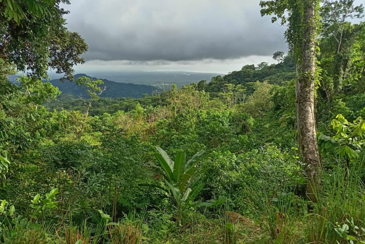 BUILDING PROPERTY WITH PANORAMIC OCEAN VIEWS, IN PUNTA MALA – 0.46 ACRES