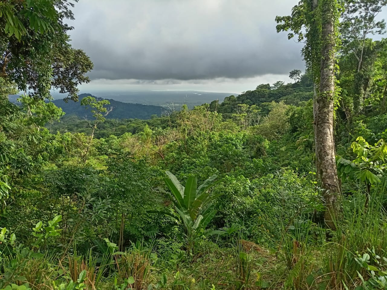 WhatsApp Image 2024-10-03 at 08.11.26 (1)