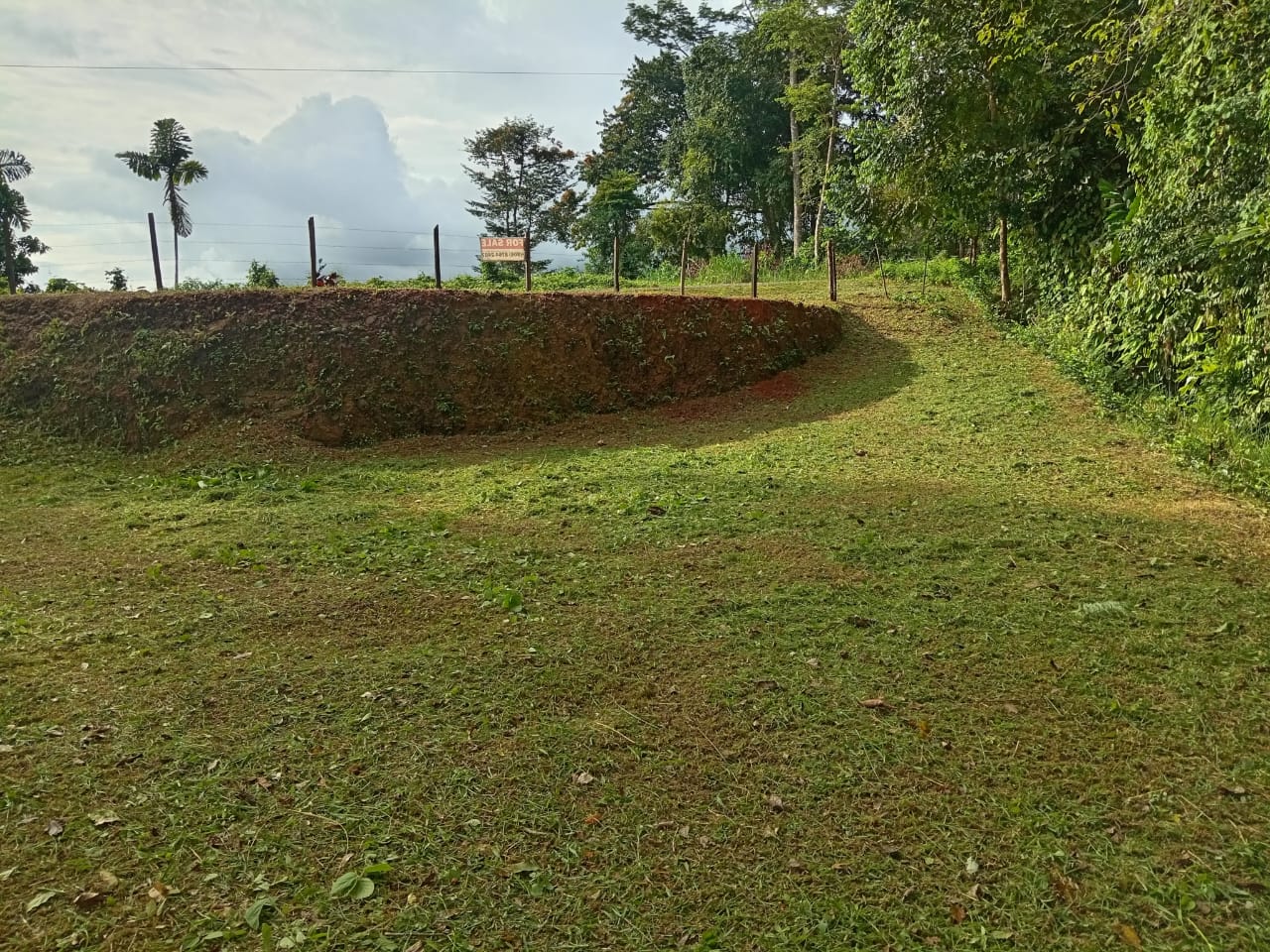 WhatsApp Image 2024-10-03 at 08.11.26