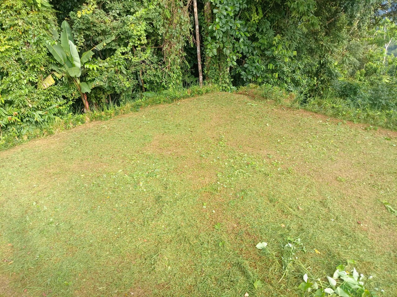 WhatsApp Image 2024-10-03 at 08.11.27