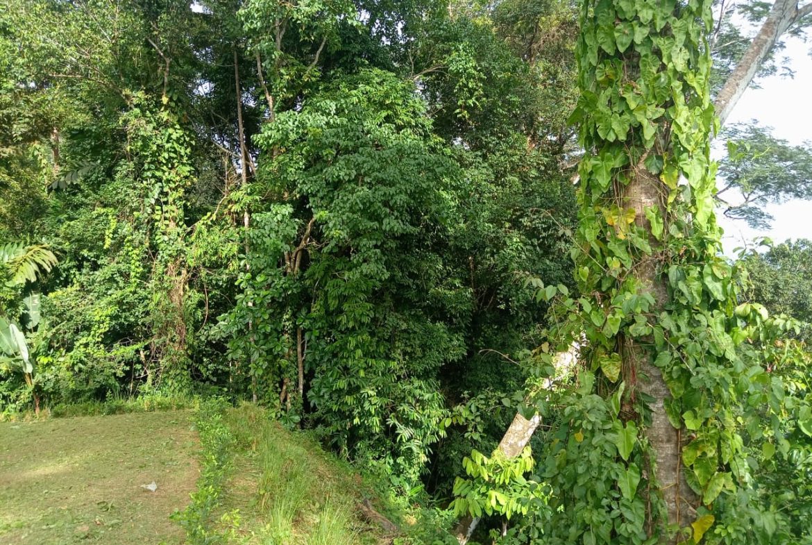 BUILDING PROPERTY WITH PANORAMIC OCEAN VIEWS, IN PUNTA MALA – 0.46 ACRES