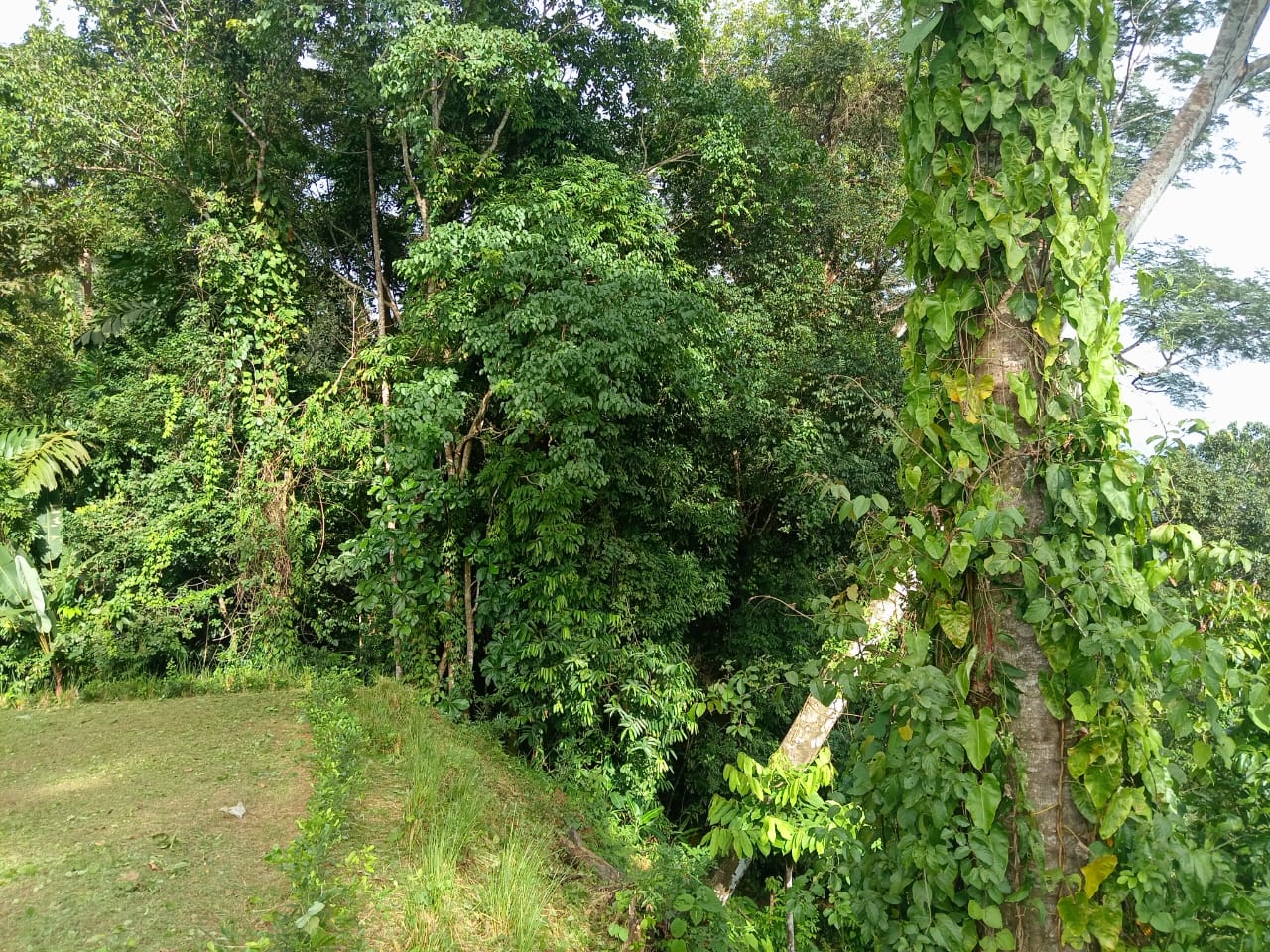 WhatsApp Image 2024-10-03 at 08.11.28 (1)