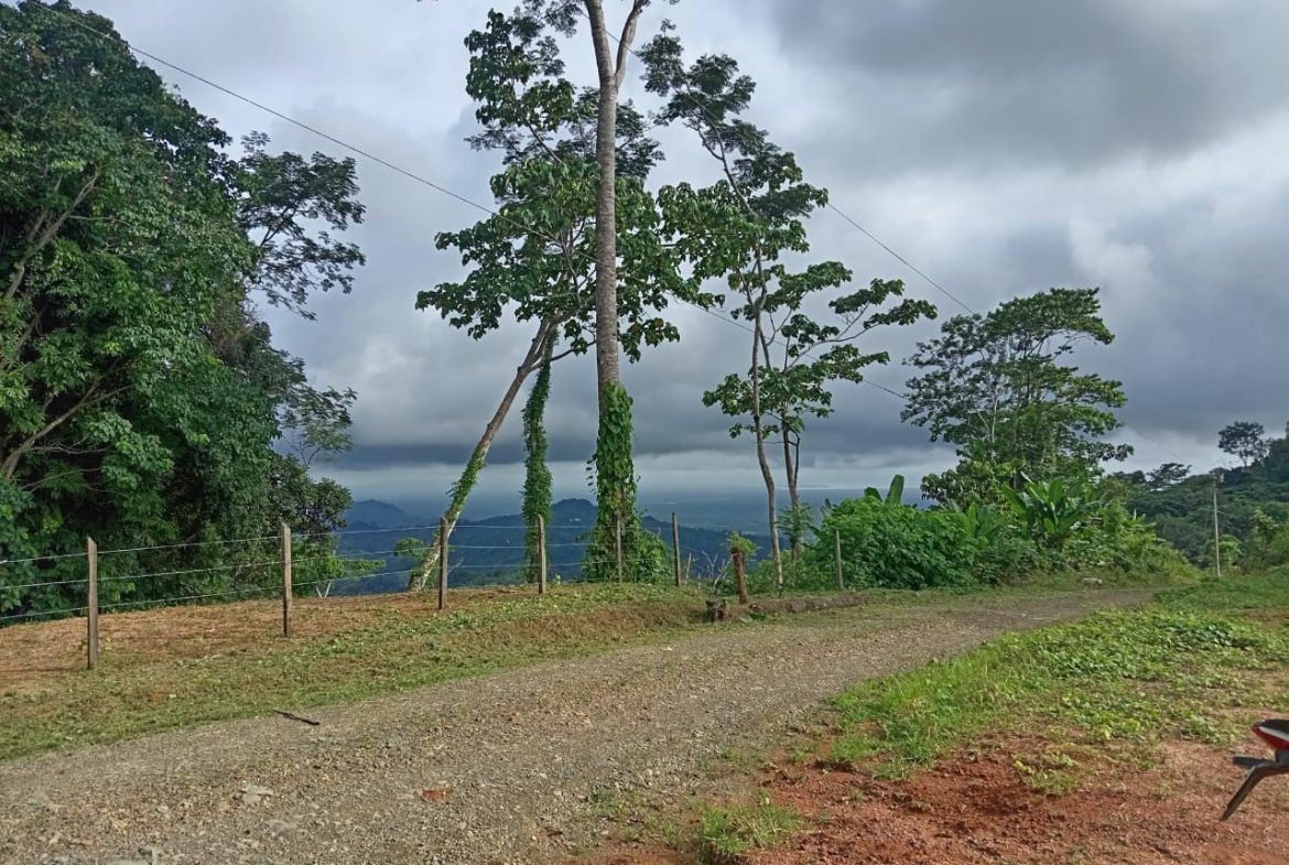 BUILDING PROPERTY WITH PANORAMIC OCEAN VIEWS, IN PUNTA MALA – 0.46 ACRES