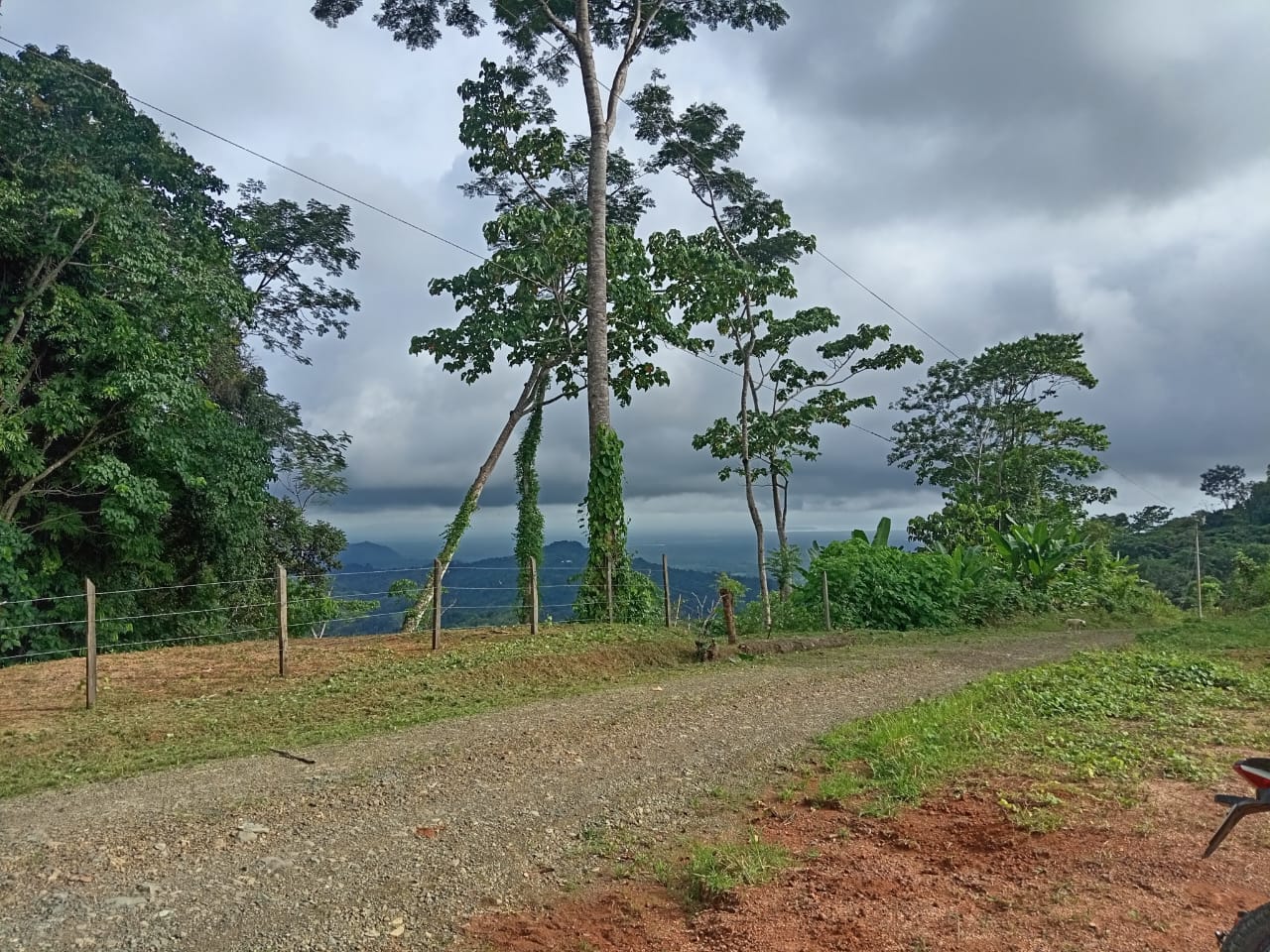 WhatsApp Image 2024-10-03 at 08.11.28 (3)