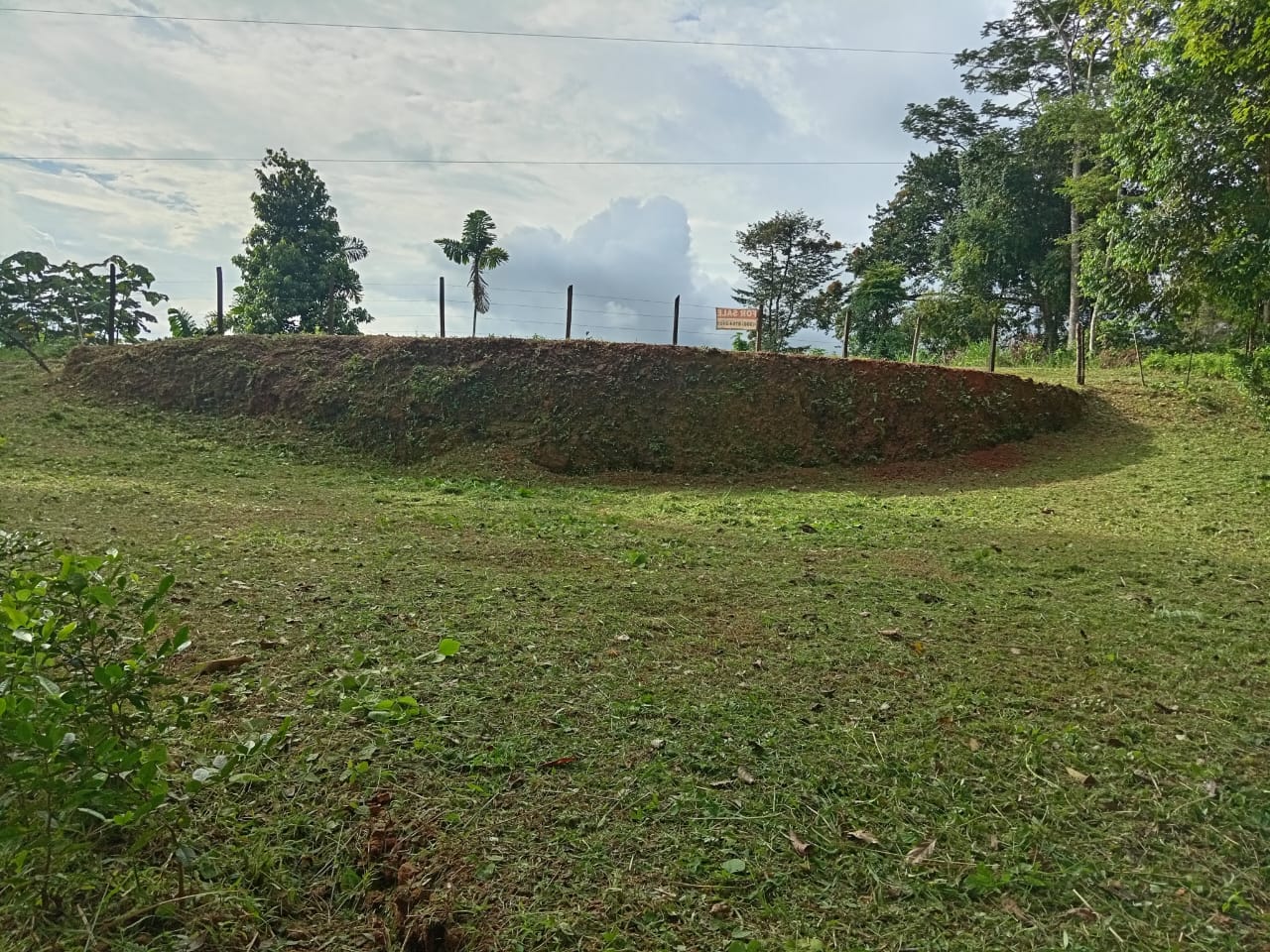 WhatsApp Image 2024-10-03 at 08.11.28 (4)