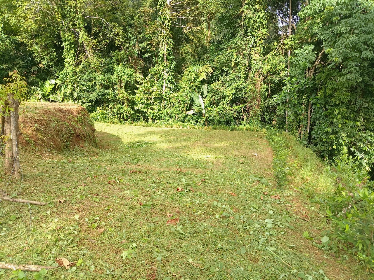 WhatsApp Image 2024-10-03 at 08.11.28