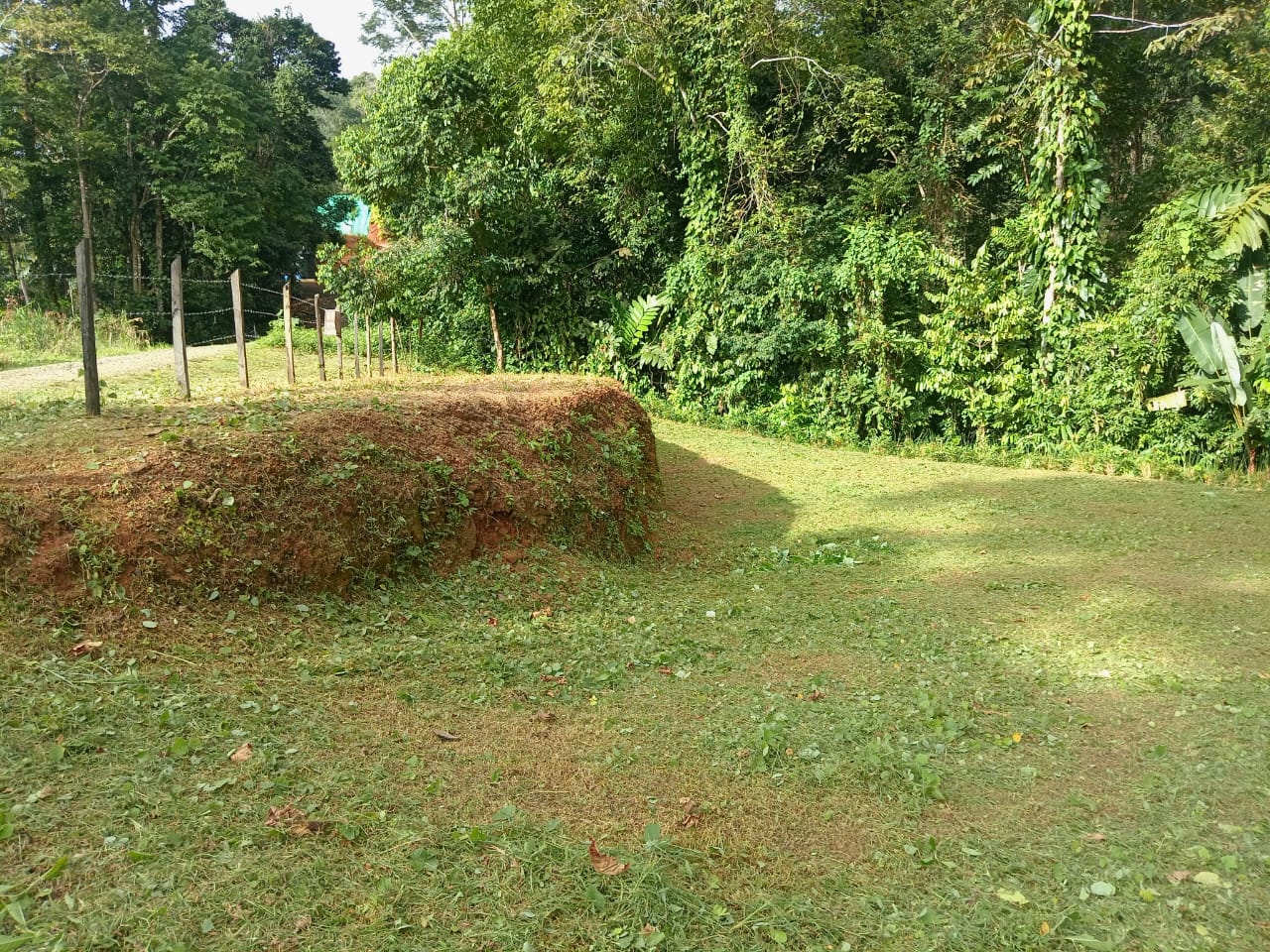 WhatsApp Image 2024-10-03 at 08.11.29