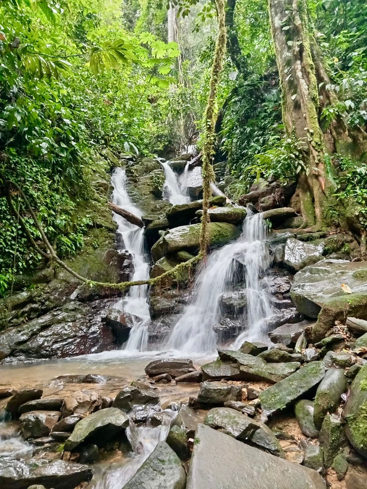 WhatsApp Image 2024-11-18 at 11.53.44 AM