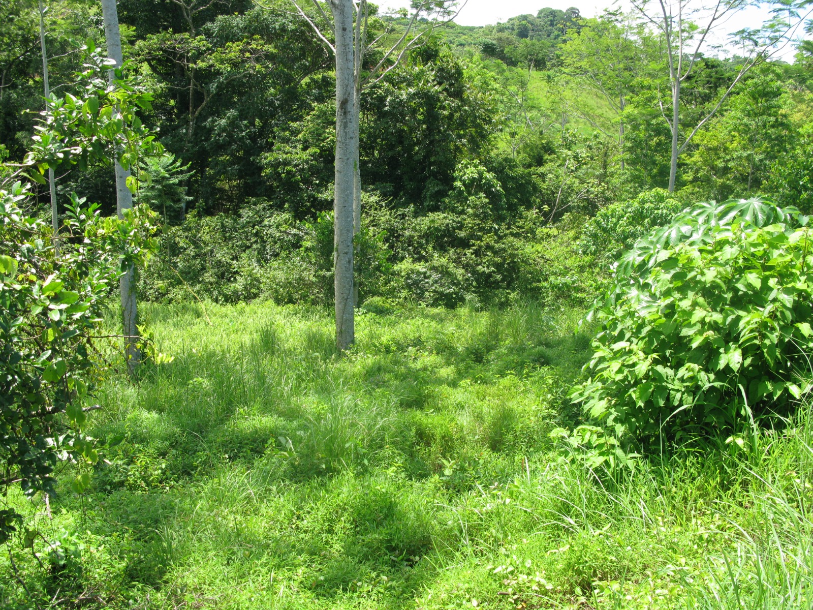 a3d326e5-7875-4070-9691-3d1c7f24e53f