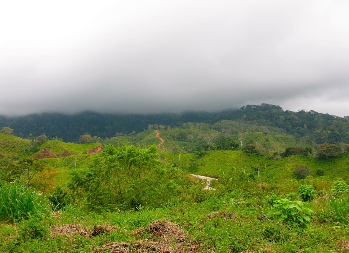 b2cb6ce9-0a4e-434d-b4db-d16cba44a383