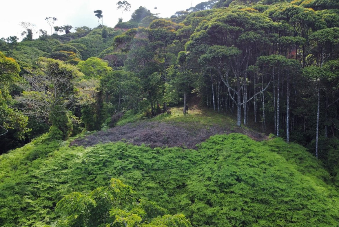 BUILDING PROPERTY WITH  MOUNTAINS VIEWS AND EXTRA LOTS WITH OCEAN VIEW NEXT TO THE PROPERTY – 2.1 ACRES