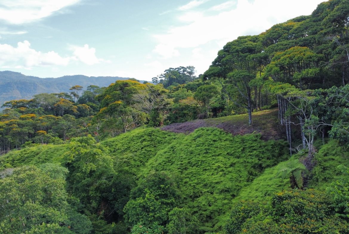 BUILDING PROPERTY WITH  MOUNTAINS VIEWS AND EXTRA LOTS WITH OCEAN VIEW NEXT TO THE PROPERTY – 2.1 ACRES