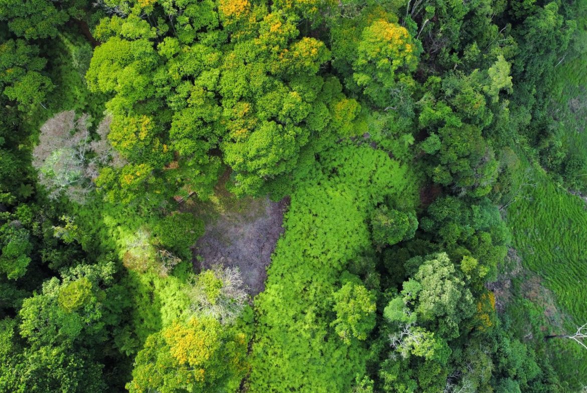 BUILDING PROPERTY WITH  MOUNTAINS VIEWS AND EXTRA LOTS WITH OCEAN VIEW NEXT TO THE PROPERTY – 2.1 ACRES