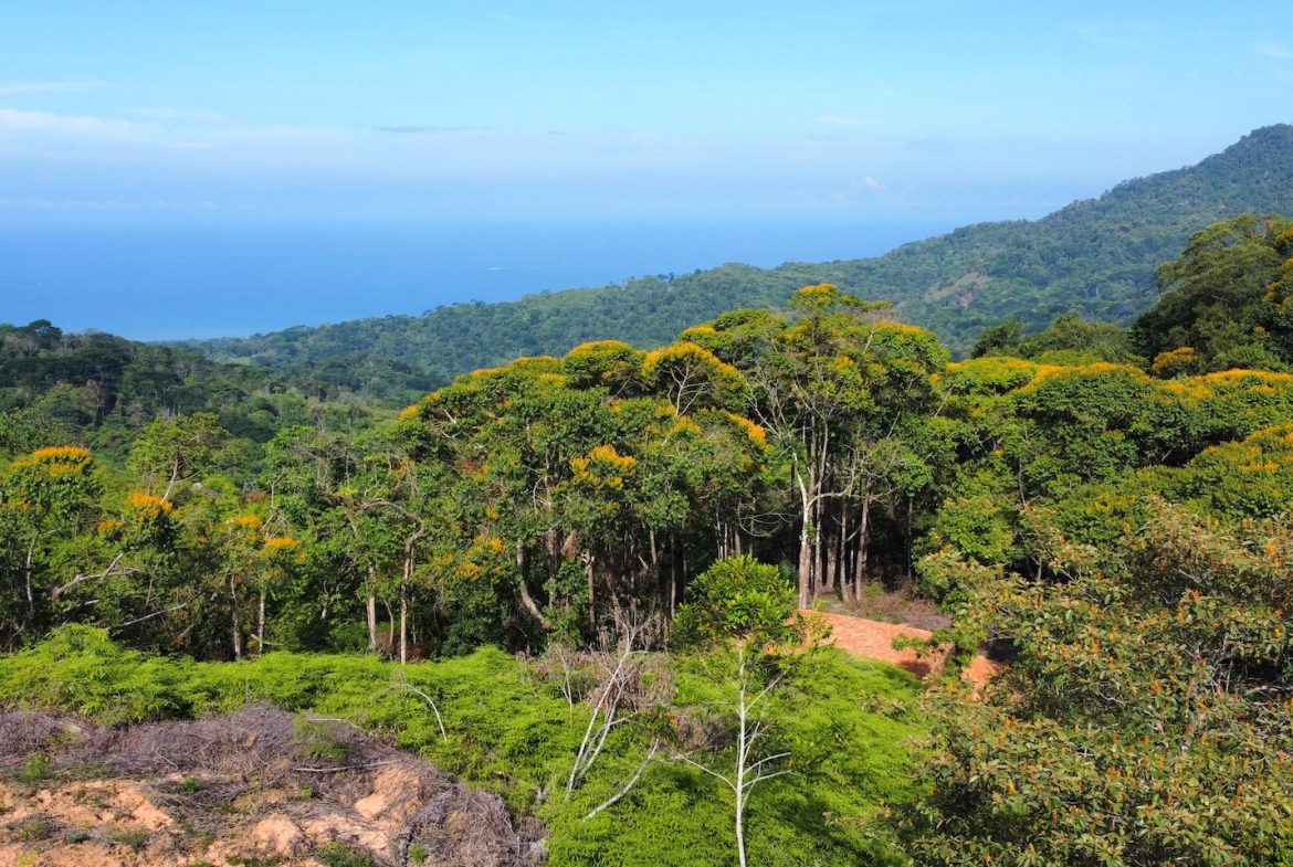 BUILDING PROPERTY WITH  MOUNTAINS VIEWS AND EXTRA LOTS WITH OCEAN VIEW NEXT TO THE PROPERTY – 2.1 ACRES