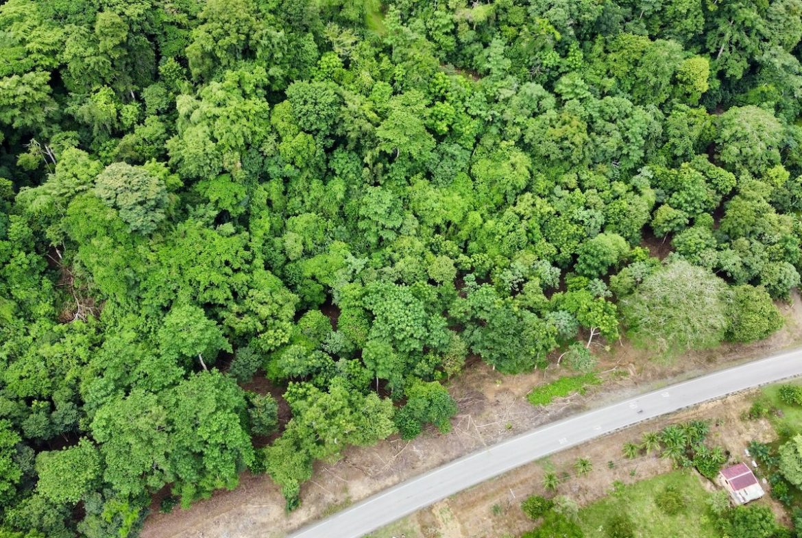 BUILDING PROPERTY WITH FRONT PUBLIC ROAD VIEWS, IN CHONTALES – 0.29 ACRES