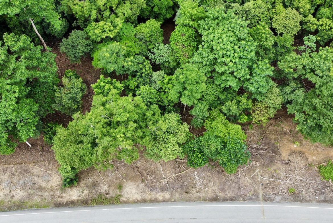BUILDING PROPERTY WITH FRONT PUBLIC ROAD VIEWS, IN CHONTALES – 0.29 ACRES